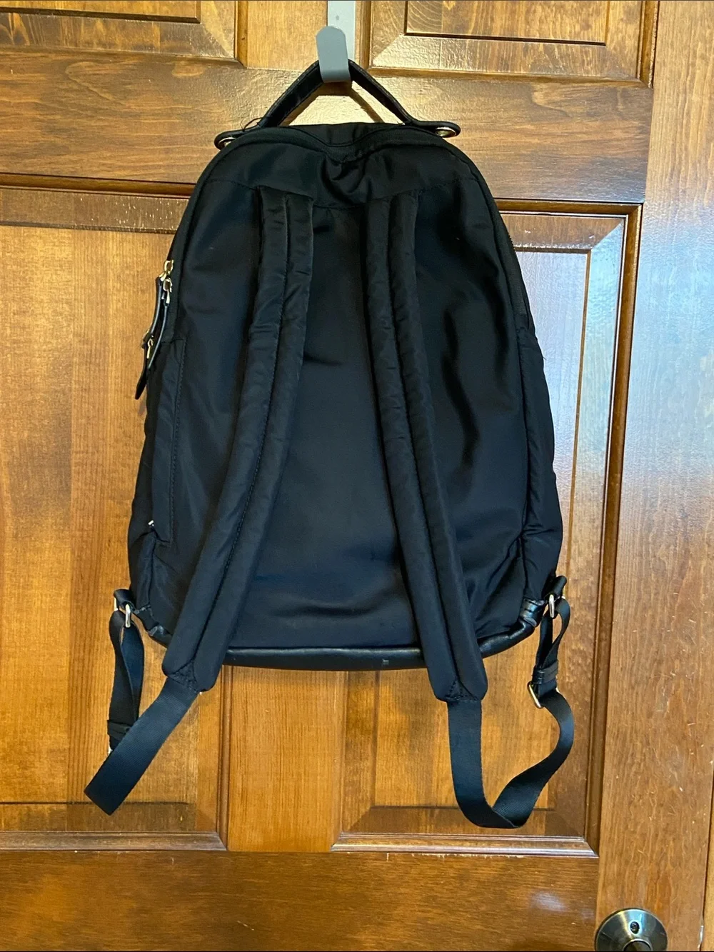 Targus Newport laptop backpack water repellent nylon Travel work school
